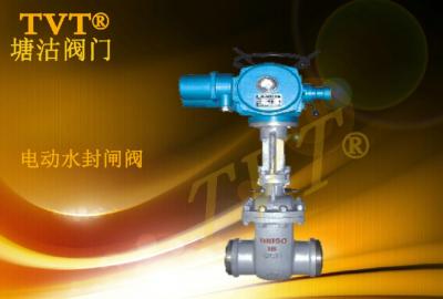 電動水封閘閥